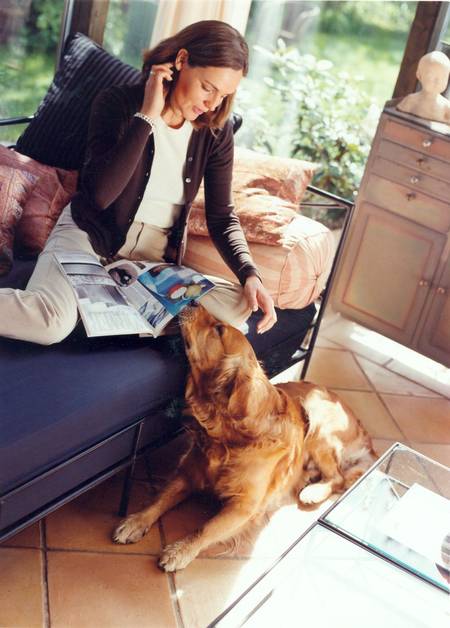 schoner wohnen mit hund wie gute fellpflege zu einer sauberen wohnung beitragt industrieverband heimtierbedarf