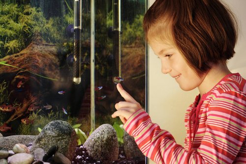 Mädchen am Aquarium